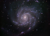 M101LLRGB50pc.jpg (121997 bytes)