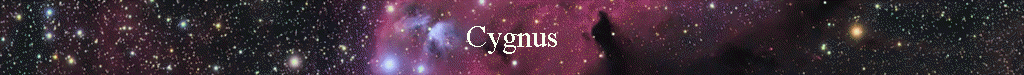 Cygnus