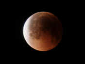 Lunar-eclipse2send2.jpg (117322 bytes)